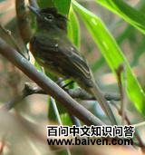 ����ȸ��