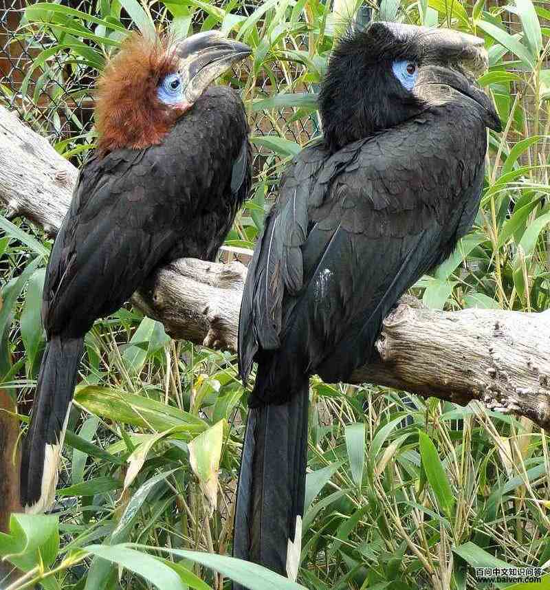 �ڿ���Ϭ���ͼƬ