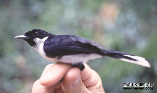 ������l��ͼƬ