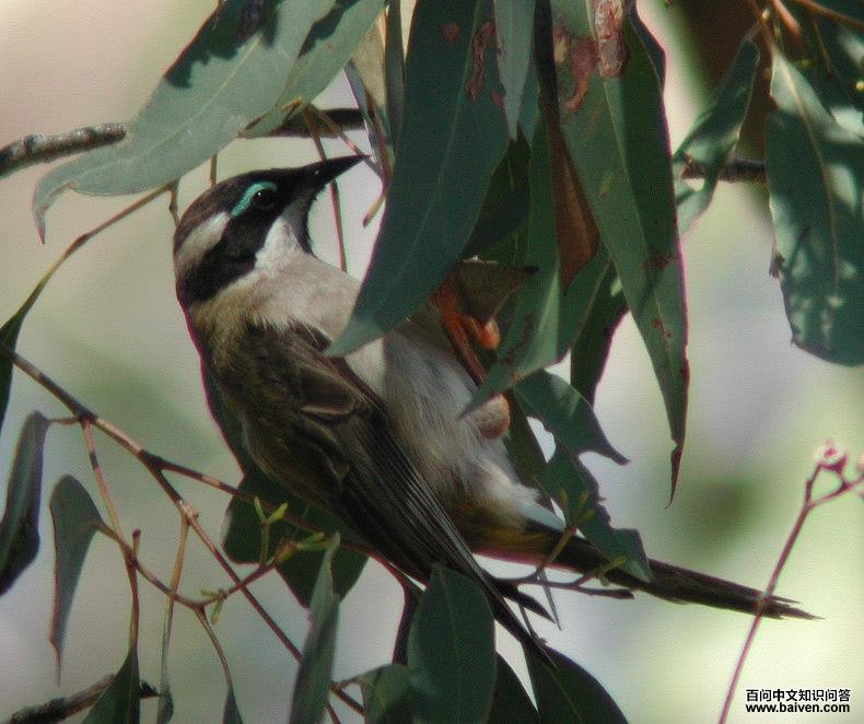 ��򤸧�����ͼƬ