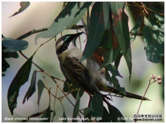 ��򤸧����