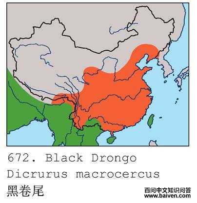 �ھ�β�������ֲ�ͼ