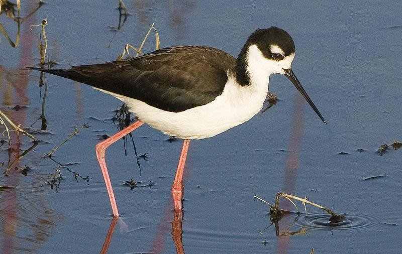 �ھ������ֵ�ͼƬ