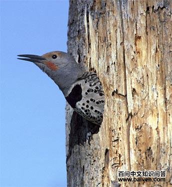 �ھ��˳�����ͼƬ