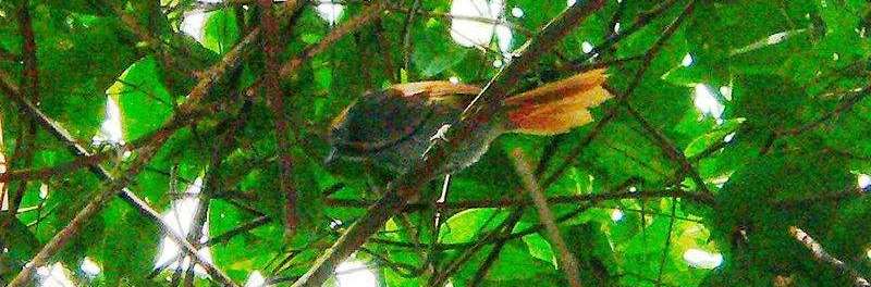 ������βȸ��ͼƬ