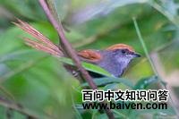 ������βȸ