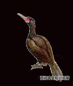 �ھ���˵�ͼƬ