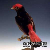 �ھ���ɡ���ͼƬ