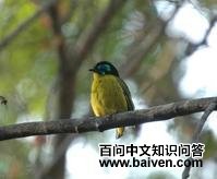 ʩ����ü��ͼƬ