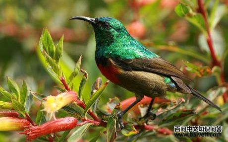 ʩ�ϻ������ͼƬ