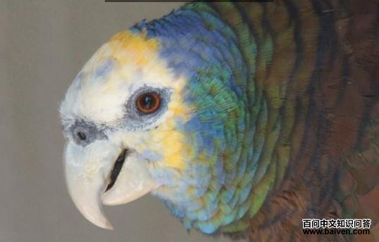 Ê¥ÎÄÉÑÇÂíËïðиç Ê¥ÎÄÉÑÇÂíËïðиçµÄͼƬ