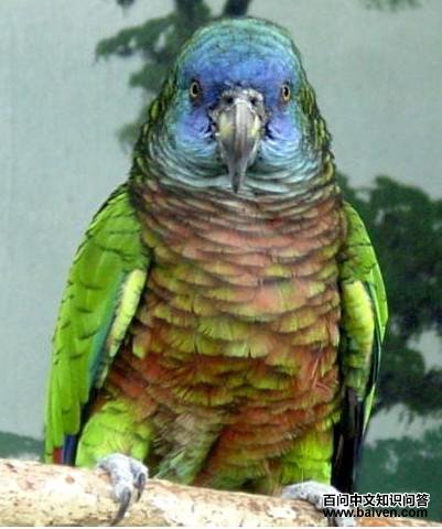 ʥ¬�����������и��ͼƬ