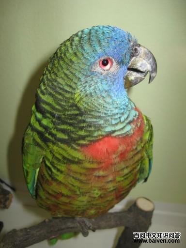 ʥ¬�����������и�