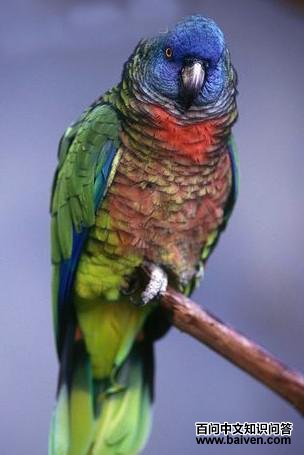 ʥ¬�����������и�