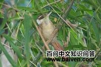 ����ʰҶȸ��ͼƬ