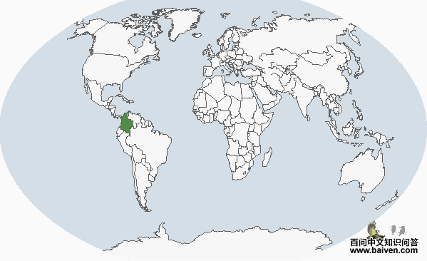 ʥ�����ӣ������ֲ�ͼ