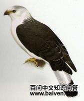 ����������ͼƬ