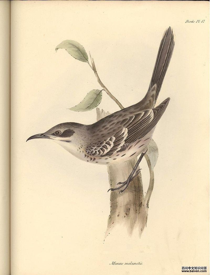 ʥ������ͼƬ