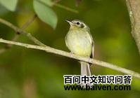 ʥ���޼����l��ͼƬ