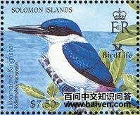 ��������ͼƬ