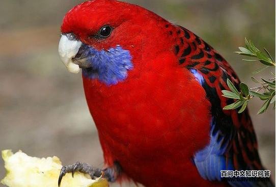 ���õ�����ĵ�ͼƬ