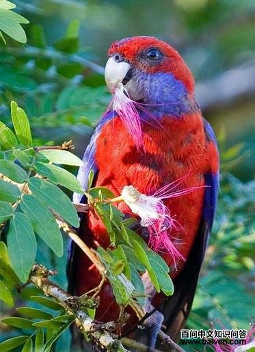 ���õ������