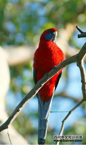 ���õ������