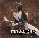 蛇鹈科 蛇鹈科的图片