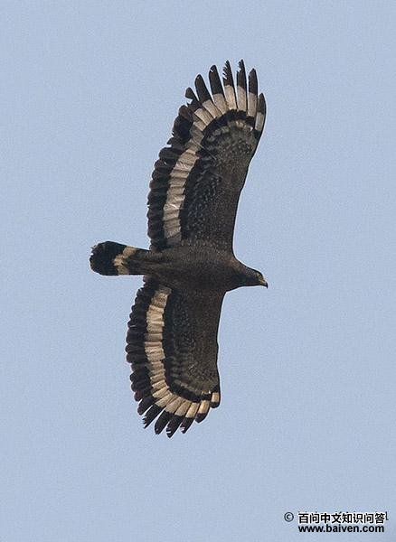 �ߵ񣺷�������