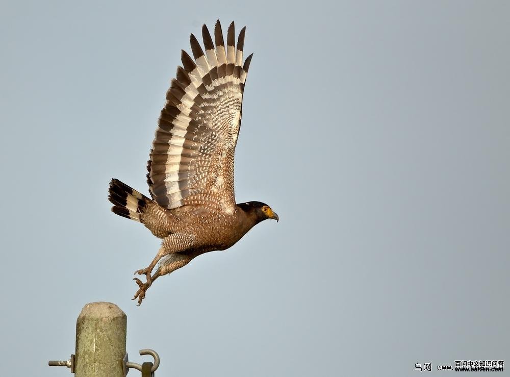 �ߵ����ǰ��˲�䣬������ʫ