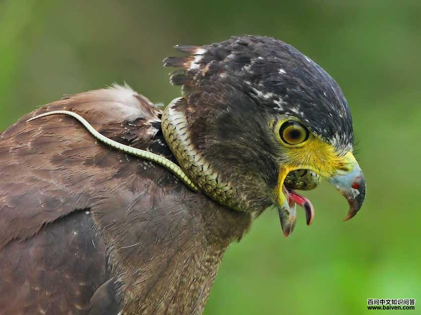 �ߵ��ߣ����ߴ���һ��