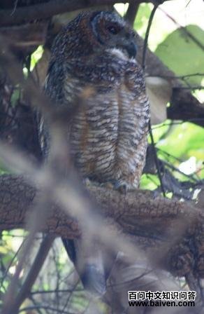 �������^��ͼƬ