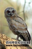 �������^