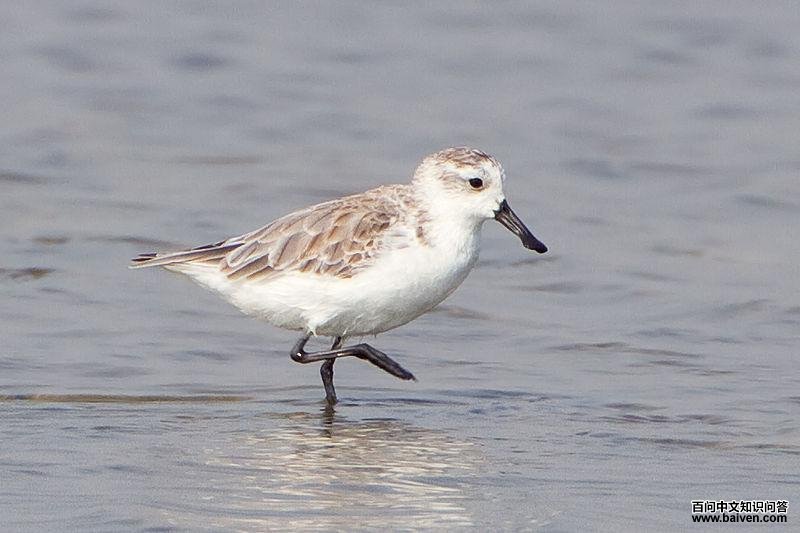 �����ֵ�ͼƬ