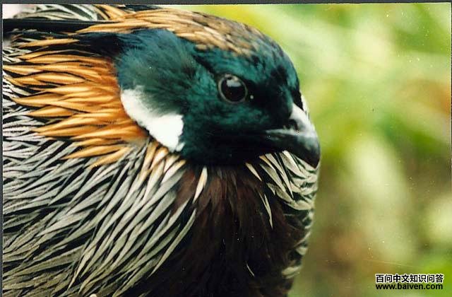 �׼�������