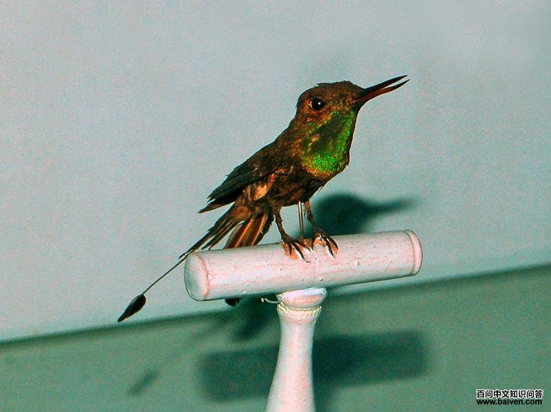 ��β�����ͼƬ