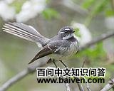 ��������β�l