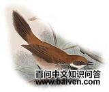 ������β�l