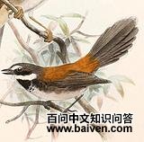 ������������β�l