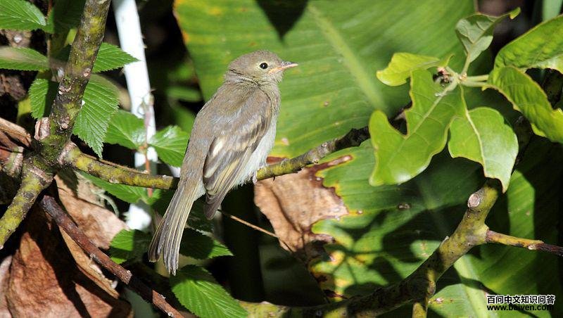 ɽ����l��ͼƬ