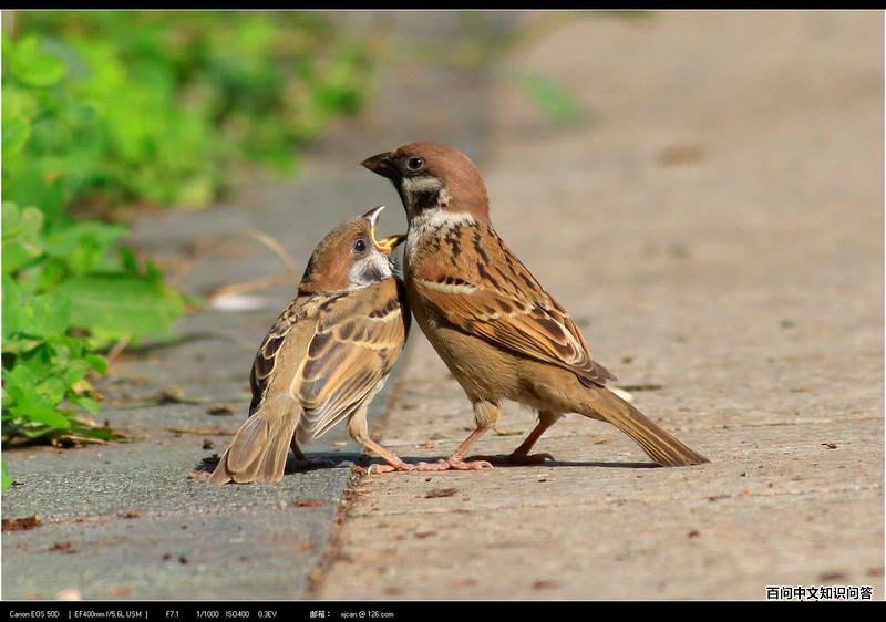 ����ȸ����ߴ����ұ�����