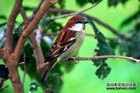 ɽ��ȸ����