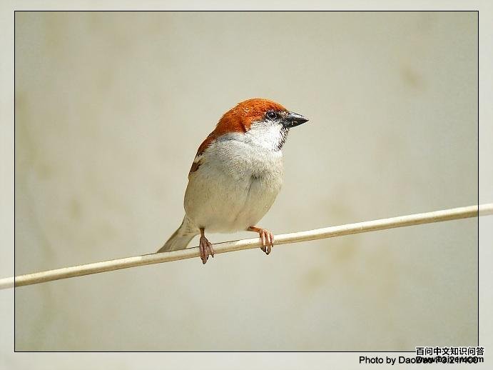 ɽ��ȸ����
