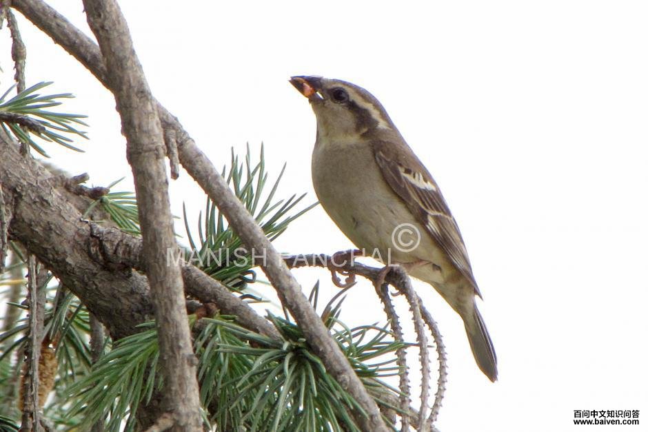 ɽ��ȸ������