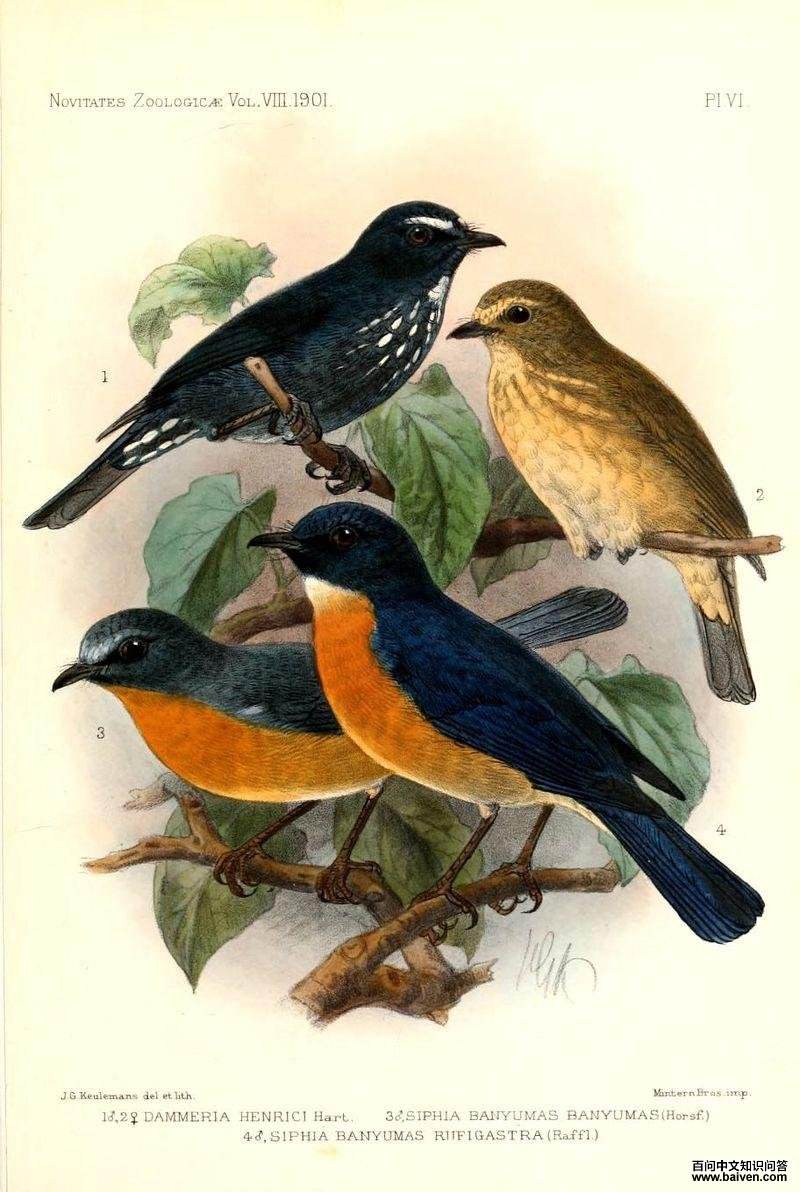 ɽ�����l��ͼƬ