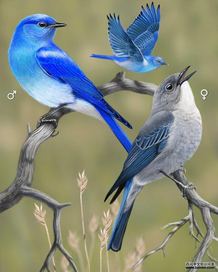 ɽ��𶣺��̬����ͼ