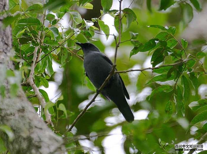 ɽ���V��ͼƬ