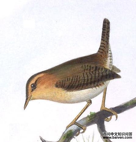 ɽ���ӵ�ͼƬ