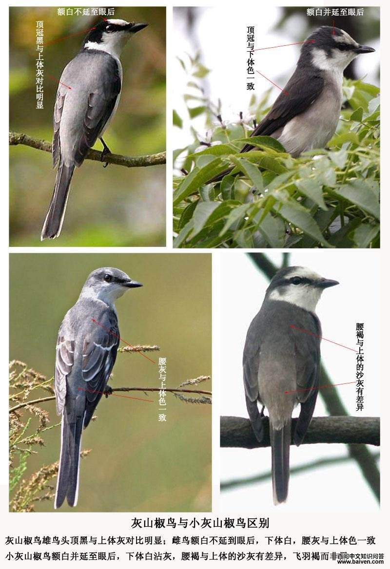 ��ɽ�����С��ɽ���������