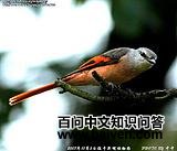 �ۺ�ɽ����